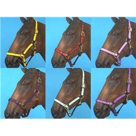 Eclipse Two Colour Eyeletted Headcollar